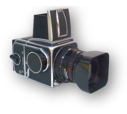 Hassey for sale at M & D Creative Concepts LLC
